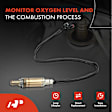 APOS1856 Upstream Left or Right O2 Oxygen Sensor
