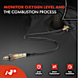 APOS1863 Upstream O2 Oxygen Sensor