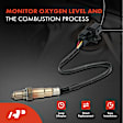 APOS1864 O2 Oxygen Sensor