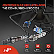 APOS1871 4 Pcs Upstream & Downstream O2 Oxygen Sensor