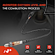 APOS1872 Upstream O2 Oxygen Sensor