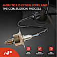 APOS1880 Upstream O2 Oxygen Sensor