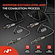 APOS1887 4 Pcs Upstream & Downstream O2 Oxygen Sensor