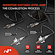 APOS1888 4 Pcs Upstream & Downstream O2 Oxygen Sensor
