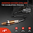 APOS2040 Downstream O2 Oxygen Air Fuel Ratio Sensor