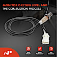 APOS2041PG 2 Pcs Oxygen Sensors