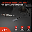 APOS2111 O2 Oxygen Sensor