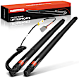APPHLS004 2x Rear Liftgate Power Lift Supports