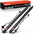 APPHLS048 2x Rear Liftgate Power Hatch Lift Support