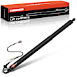 APPHLS188 Rear Passenger Power Hatch Lift Support
