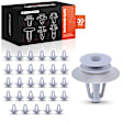 APRCF2220 30 Pcs 9.5mm Nylon Headliner Retainer Clips