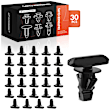 APRCF3001 30 Pcs 5mm Weatherstrip Door Sub-Seal Clip Fastener