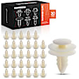 1997 Dodge Ram 2500 - Clips & Fasteners, Natural, Nylon, Set of 30