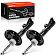 APSA0102 Front Shock Absorber Strut, Set of 2