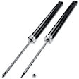 APSA0111 Rear Shock Absorber, Set of 2