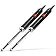 APSA0112 Rear Shock Absorber, Set of 2