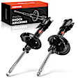 APSA0138 Rear Shock Absorber Strut, Set of 2