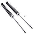 APSA0184 Rear Shock Absorber, Set of 2