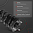 APSA0206 Front Complete Strut & Coil Spring Assembly, Set of 2