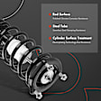 APSA0219 Front Complete Strut & Coil Spring Assembly, Set of 2