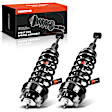 APSA0221 Front Complete Strut & Coil Spring Assembly, Set of 2