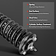 APSA0228 Front Complete Strut & Coil Spring Assembly, Set of 2