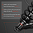 APSA0230 Rear Complete Strut & Coil Spring Assembly, Set of 2