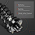 APSA0230 Rear Complete Strut & Coil Spring Assembly, Set of 2
