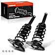APSA0245 Rear Complete Strut & Coil Spring Assembly, Set of 2