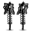 APSA0250 Rear Complete Strut & Coil Spring Assembly, Set of 2
