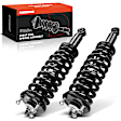 APSA0255 Front Complete Strut & Coil Spring Assembly, Set of 2