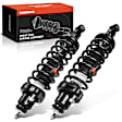 APSA0273 Rear Complete Strut & Coil Spring Assembly, Set of 2