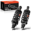 APSA0274 Rear Complete Strut & Coil Spring Assembly, Set of 2