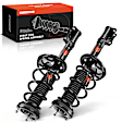 APSA0293 Rear Complete Strut & Coil Spring Assembly, Set of 2