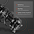 APSA0294 Front Complete Strut & Coil Spring Assembly, Set of 2
