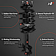 APSA0302 Front Complete Strut & Coil Spring Assembly, Set of 2