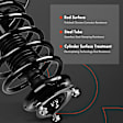 APSA0302 Front Complete Strut & Coil Spring Assembly, Set of 2