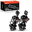 APSA0316 Front Complete Strut & Coil Spring Assembly, Set of 2