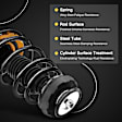 APSA0340 Front Complete Strut & Coil Spring Assembly, Set of 2