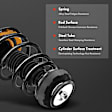 APSA0380 Front Complete Strut & Coil Spring Assembly, Set of 2