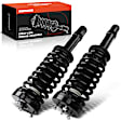 APSA0402 Front Complete Strut & Coil Spring Assembly, Set of 2