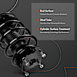 APSA0491 Front Complete Strut & Coil Spring Assembly, Set of 2