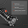 APSA0493 Front Complete Strut & Coil Spring Assembly, Set of 2
