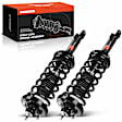 APSA0497 Rear Complete Strut & Coil Spring Assembly, Set of 2