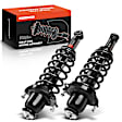 APSA0504 Rear Complete Strut & Coil Spring Assembly, Set of 2