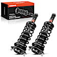 APSA0530 Rear Complete Strut & Coil Spring Assembly, Set of 2