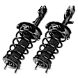 APSA0543 Rear Complete Strut & Coil Spring Assembly, Set of 2