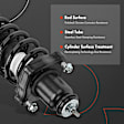 APSA0570 Rear Complete Strut & Coil Spring Assembly, Set of 2