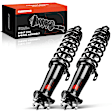 APSA0597 Rear Complete Strut & Coil Spring Assembly, Set of 2