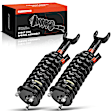 APSA0603 Front Complete Strut & Coil Spring Assembly, Set of 2